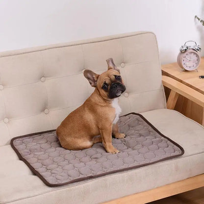 Coperta Rinfrescante Cani Estivo - Traspirante, Lavabile, per Divano/Letto