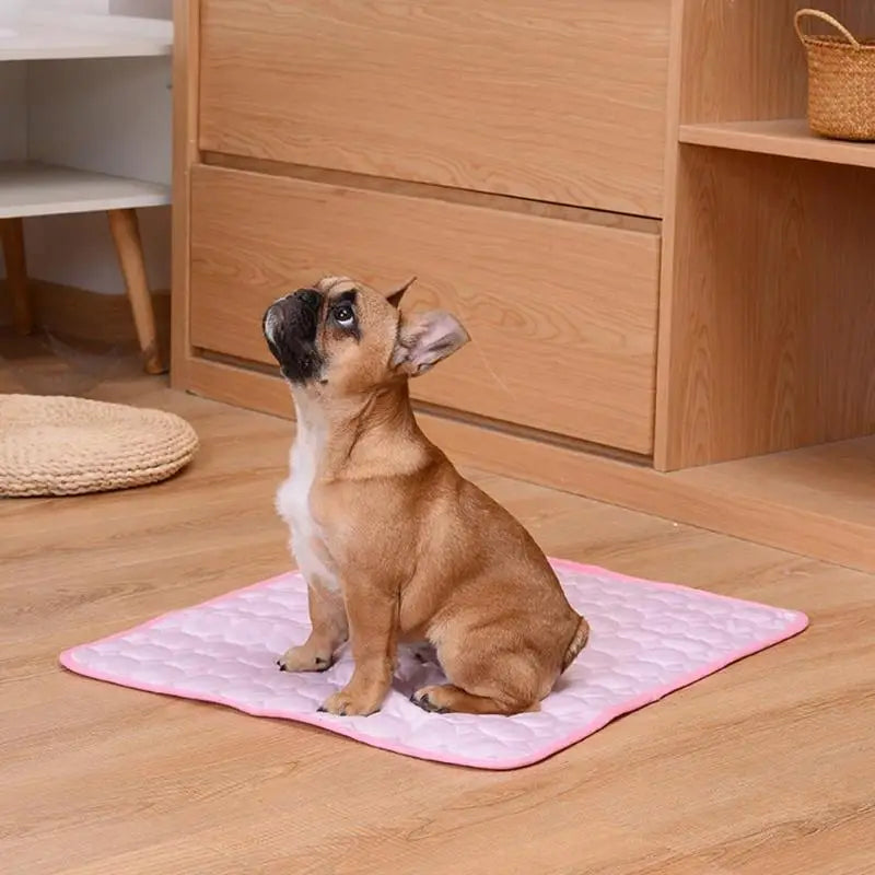 Coperta Rinfrescante Cani Estivo - Traspirante, Lavabile, per Divano/Letto