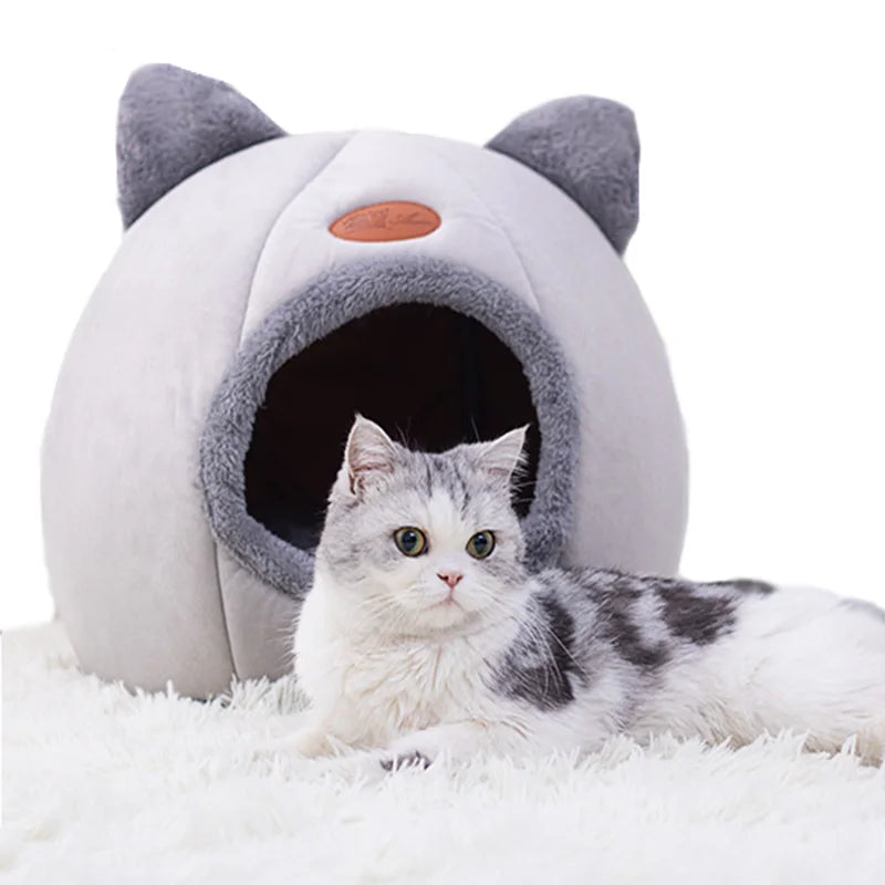 🐾【NUOVO】Cuccia Grotta per Gatti - Nido Morbido Invernale per Cani Piccoli!
