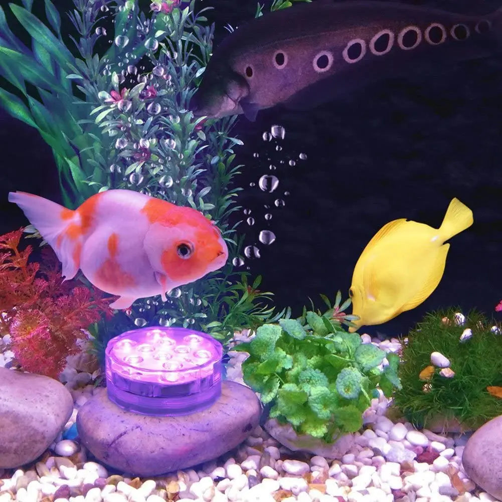 Luci LED Sommergibili a Batteria con Telecomando Subacquee per Vasca, Idromassaggio, Spa, Piscina, Fontana, Acquario